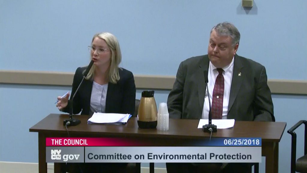 McIver & Klock - NYC Council - testifying on backflow